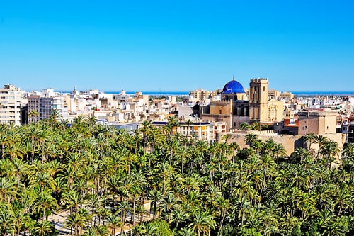 Primera academia Top School en Elche Primera academia Top School en Elche